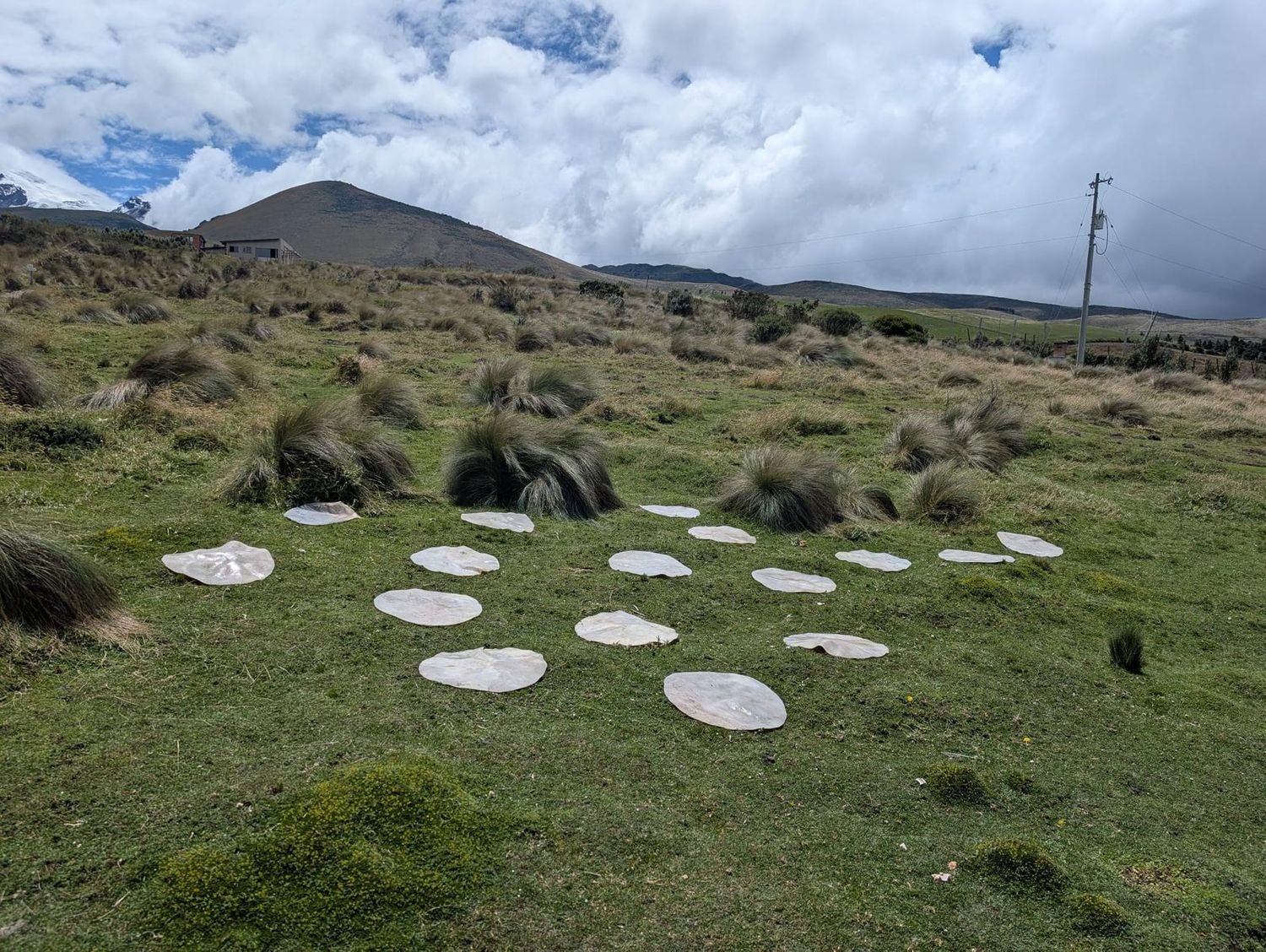 Peaux de tambour séchant en cercle dans les Andes équatoriennes