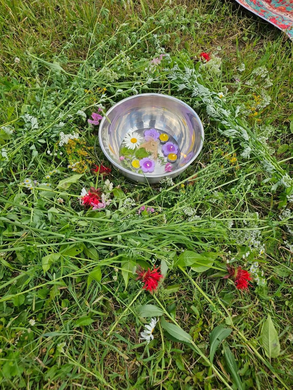 Mandala de fleurs sauvages autour d'un bol d'eau